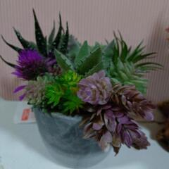 フェイクグリーン多肉植物の画像