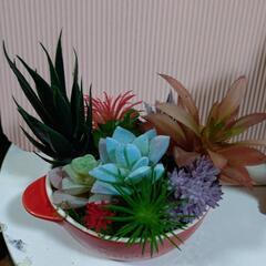 フェイクグリーン多肉植物の画像