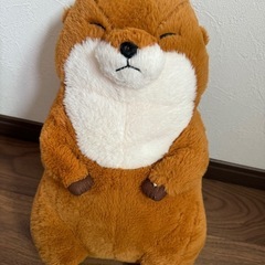 カワウソ　ぬいぐるみ