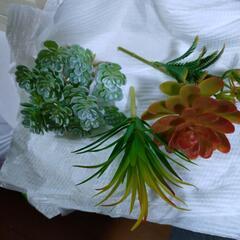 フェイクグリーン多肉植物の画像