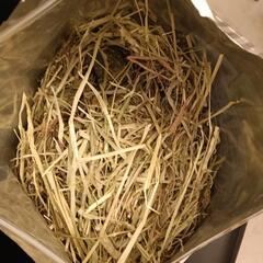 うさぎ　牧草　残1.2㌔の画像