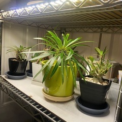 バイクで　植物園ツーリング - 友達