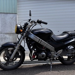 zzr250　