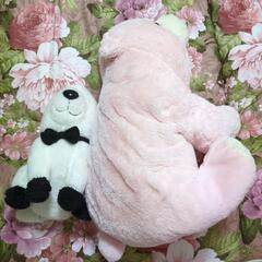 無料でぬいぐるみを寄付させていただきたいです！