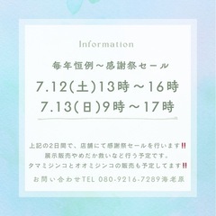 めだか！感謝祭セール行います！