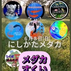 道の駅にしかたメダカフェス