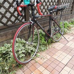 SANNOW SPORT(山王スポーツ) EMINEMZA CARA5