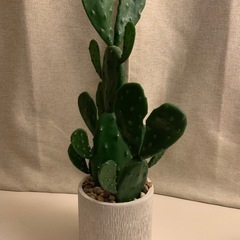 サボテン風　フェイク観葉植物【購入者決定】の画像