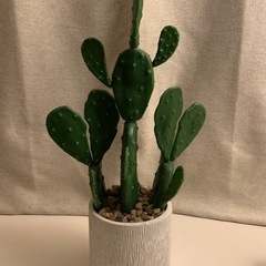サボテン風　フェイク観葉植物【購入者決定】の画像