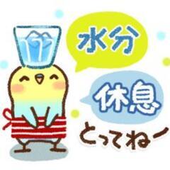 (˶﻿´∇`˶﻿)♪нёllо*☆*