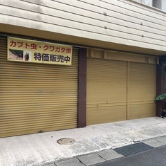 毎年恒例 夏祭り限定　昆虫くじ の画像