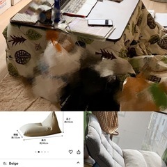 こたつ用品セット(6.10-6.15取引希望)
