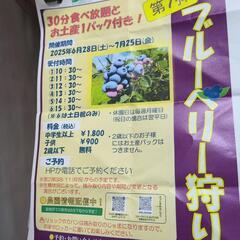 ブルベリ食べ放題にいませんか？