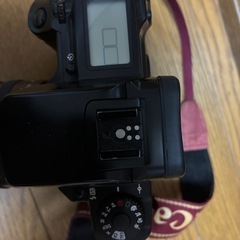 Canon EOS5 一眼レフかめらの画像