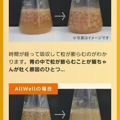 オールウェル/15歳以上の腎臓の健康維持用/食事の吐き戻しを軽減/3袋・合計2.25kgの画像