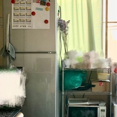 冷蔵庫と電子レンジと洗濯機