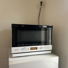 Toshiba電車レンジの画像