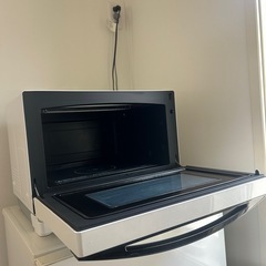 Toshiba電車レンジの画像
