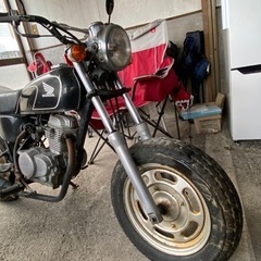 HONDA エイブ50