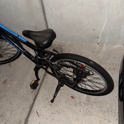 トレック　子供用自転車　trek super fly