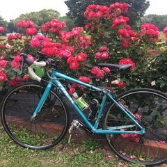 サイクリングと写真、ビデオ撮影を一緒に楽しみませんか。