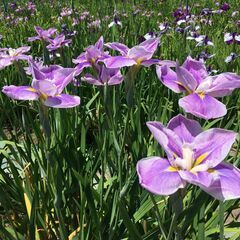 サイクリングと写真、ビデオ撮影を一緒に楽しみませんか。 − 愛知県