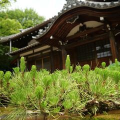 サイクリングと写真、ビデオ撮影を一緒に楽しみませんか。 - スポーツ