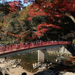 サイクリングと写真、ビデオ撮影を一緒に楽しみませんか。 - メンバー募集