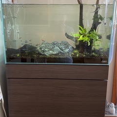 【購入者決まりました】ADA 水槽と水槽台の画像