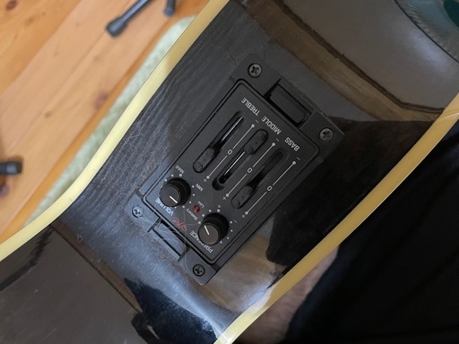 Zenn ゼン　エレアコベース ZB22CE