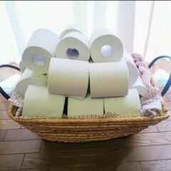トイレットペーパー 〜60ロール