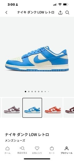 【最終値下げ】 NIKE/ ダンクＬＯＷレトロ　