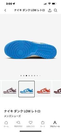 【最終値下げ】 NIKE/ ダンクＬＯＷレトロ　