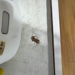 キッチン棚の画像