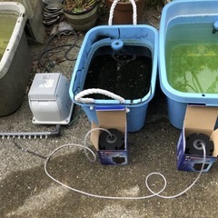 メダカ　寺田ポンプ製作所 　電磁式エアーポンプの画像
