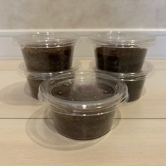 【大幅値下げ】オオクワガタ幼虫①3頭セット