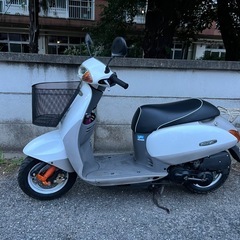 タクト超美車‼️他在庫多数飛込見学大歓迎の画像