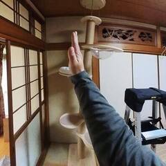 【キャットタワー】傾きタワーの天井アンカー固定ご依頼作業へ…