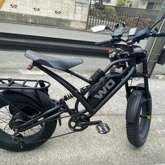 WO M2X REGULAR