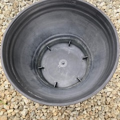 10Lバケツ、睡蓮鉢　50円〜
の画像