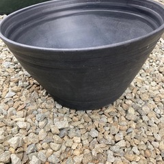 10Lバケツ、睡蓮鉢　50円〜
の画像