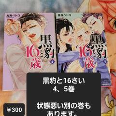 少女漫画 鳥海ペドロ 黒豹と16歳 4、5巻
