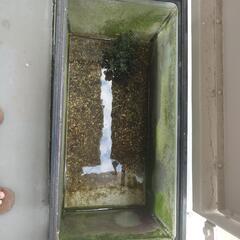 60cm水槽セット