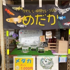 メダカ無人販売