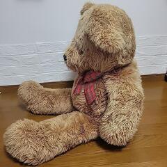 くまさんのぬいぐるみ(*^^*)の画像