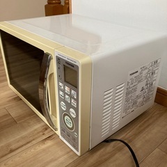 東芝　ER-Y10の画像