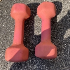 ダンベル2キロ2個　トレーニング　ジム
