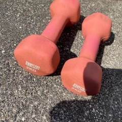 ダンベル2キロ2個　トレーニング　ジムの画像
