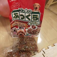 犬の餌