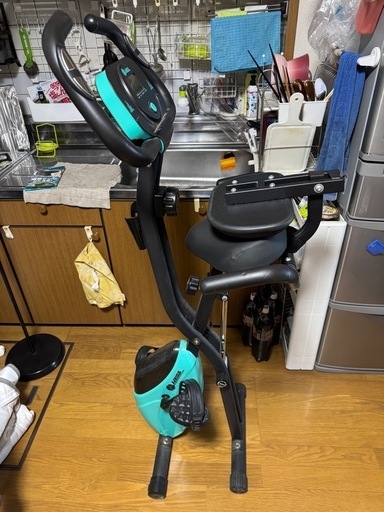 Haige エアロバイク　フィットネスバイク HG-QB-J917B